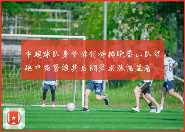 中超球队身价排行榜揭晓泰山队领跑申花紧随其后铜梁龙涨幅显著